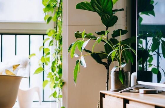 Clear the Air In The Office