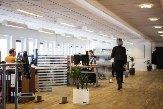 Essential Tips for Setting up Your First Office