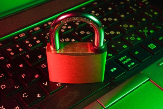 How To Help Your Startup Business Stay Secure This Year Online