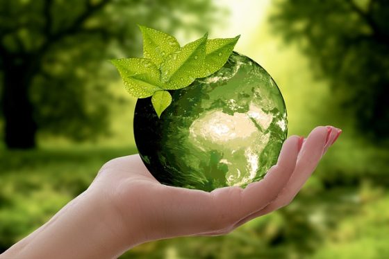 Eco-Friendly: How Your Business Can Improve